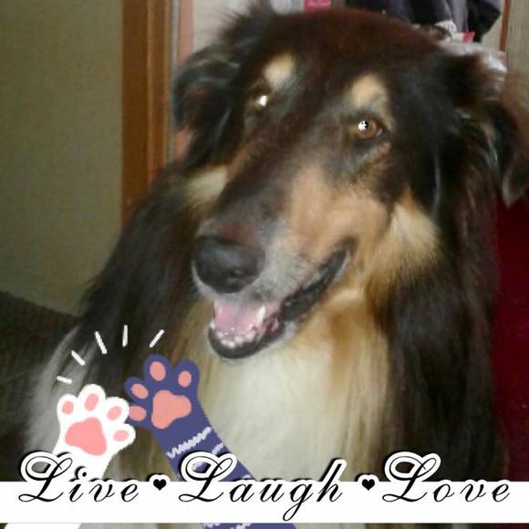 Meet your Posher, Joanna - Picture 1 of 1